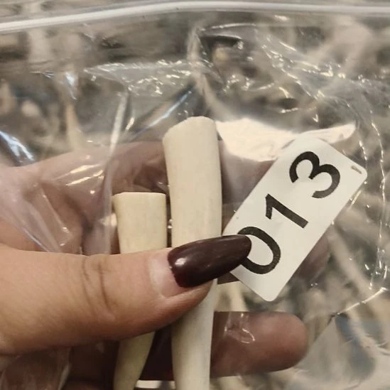 炎***哥鹿角鹿角鹿角鹿角鹿鹿