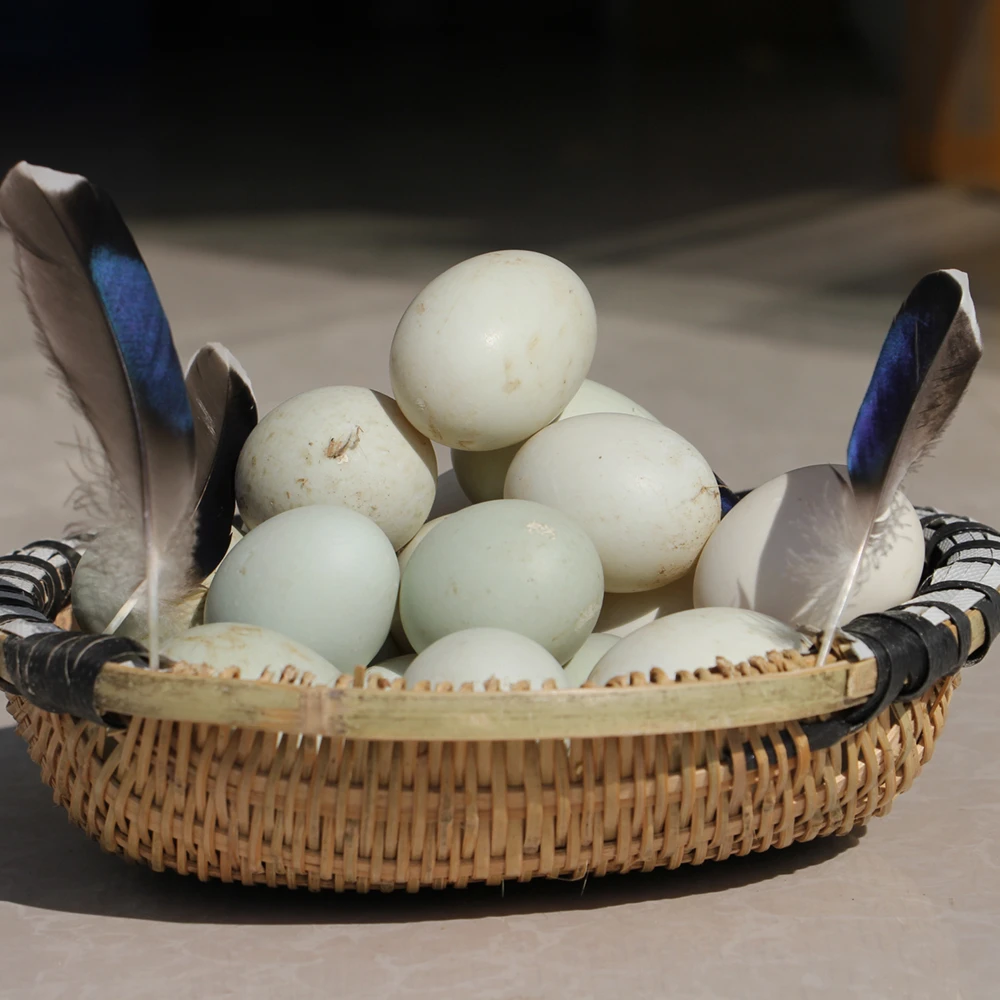 农家散养正宗土鸭蛋新鲜现捡 带泥生鸭蛋