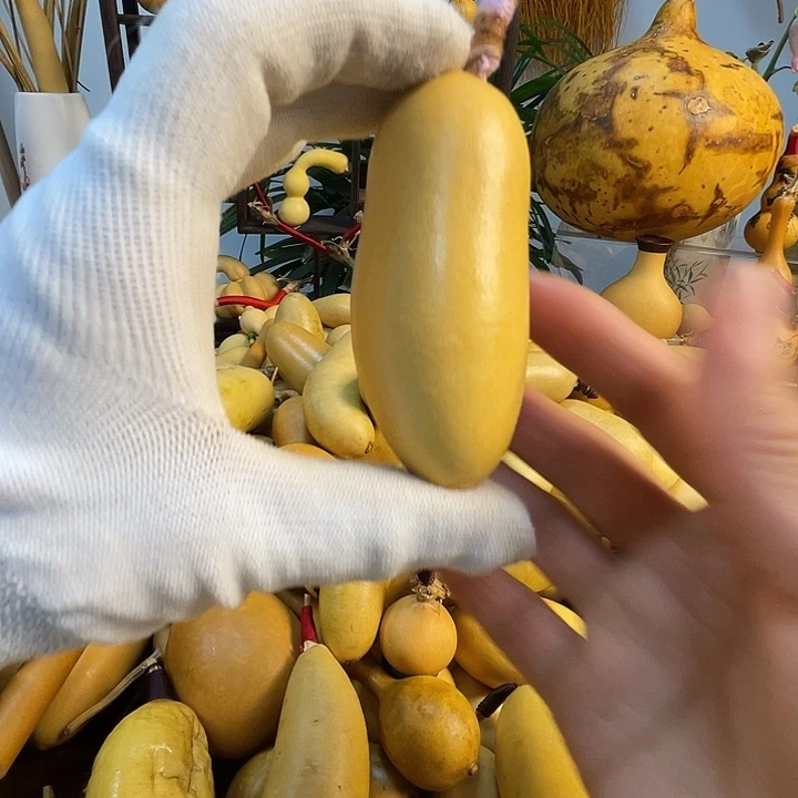 怎***呢藤手把葫芦精品系列12