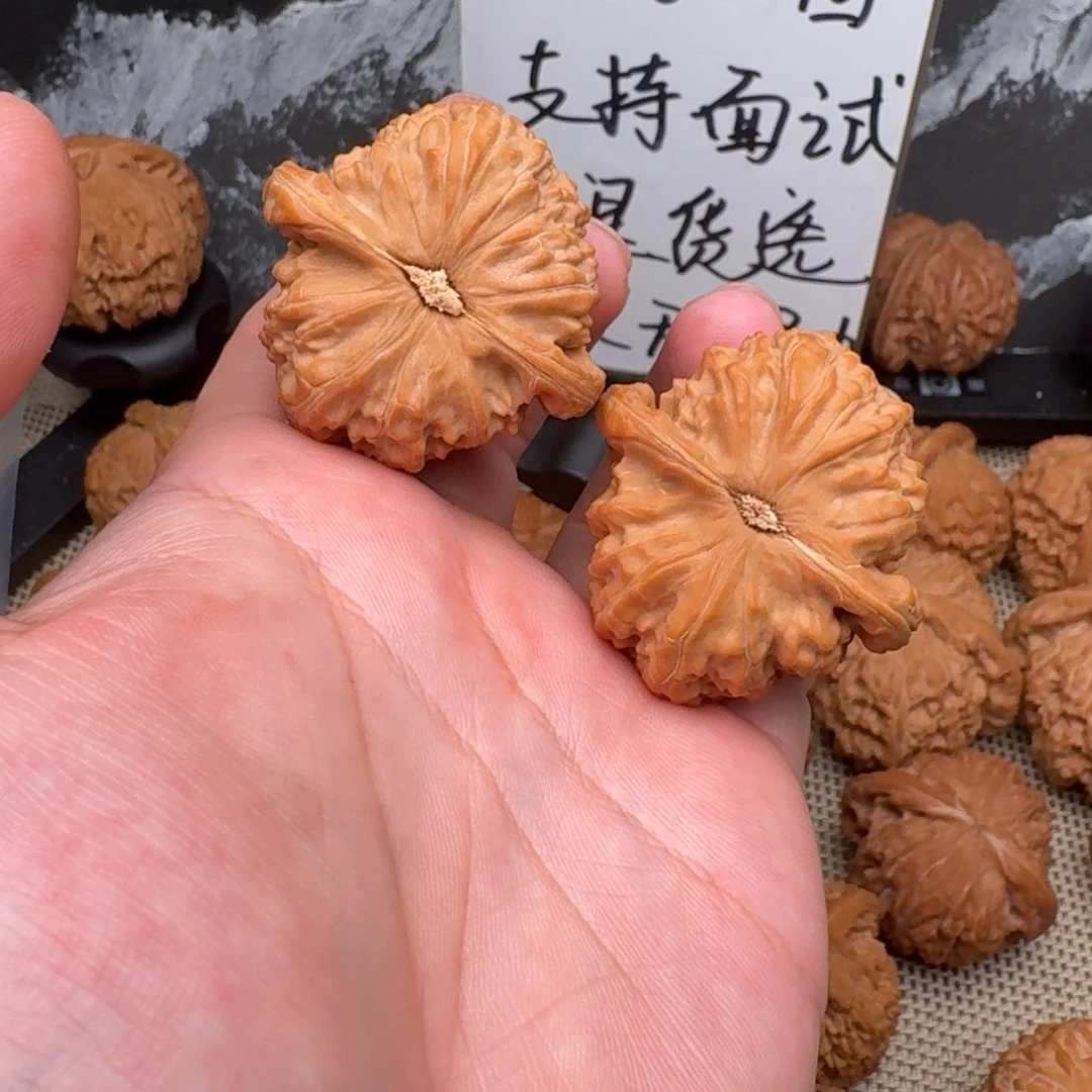 把件文玩核桃40白狮子