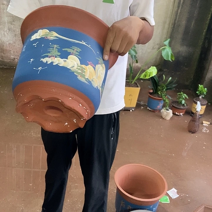 31 花盆花盆花盆花盆花盆花盆