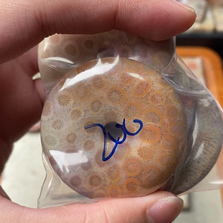 硅化玉颈饰未镶嵌王