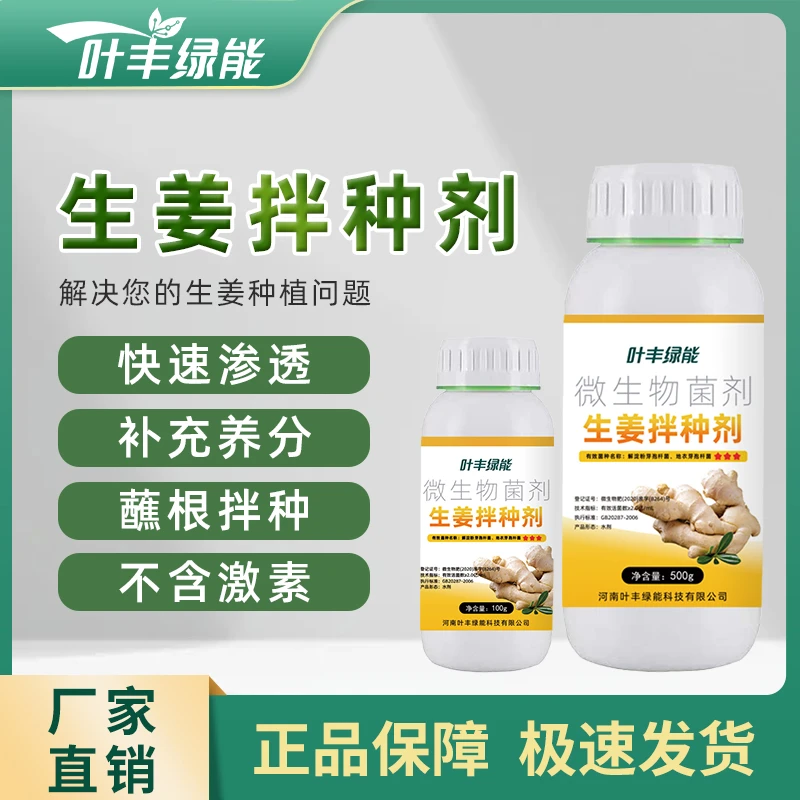 叶丰绿能生姜拌种剂促芽生根壮苗防病害活化土壤提质增产微生物肥