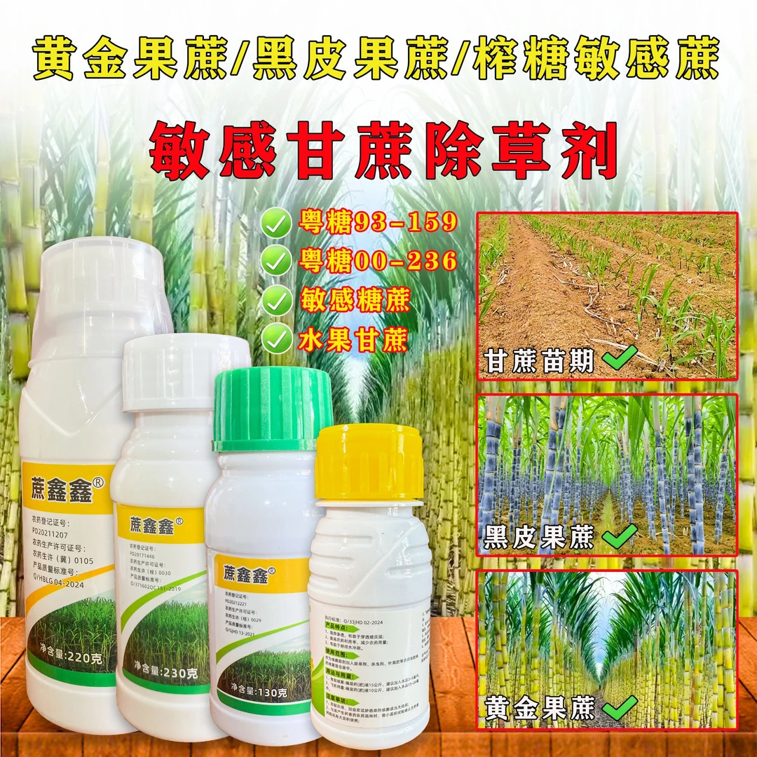 蔗鑫鑫水果甘蔗黑甘蔗黄金甘蔗敏感甘蔗除草剂除草封草禾阔双除