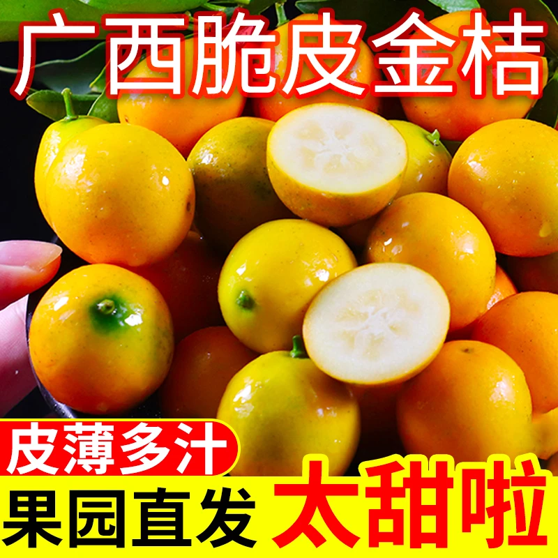 广西脆皮金桔现摘新鲜水果纯甜不酸滑皮小金桔子大果特大果包邮