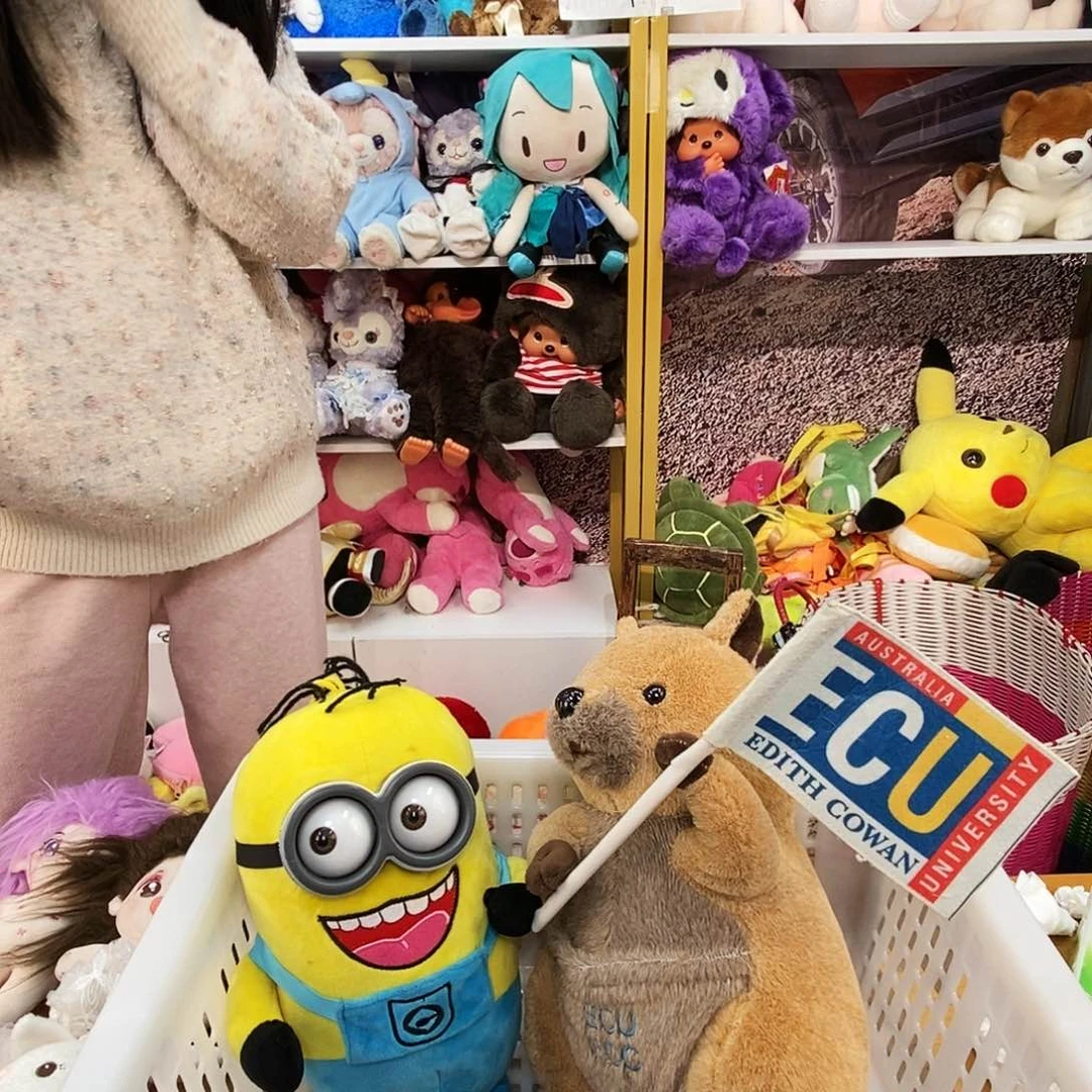 毛绒涵**?毛绒玩具253