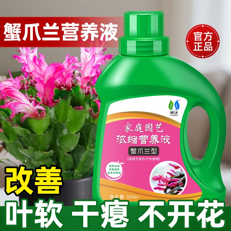 领沃蟹爪兰专用肥料养花肥料蟹爪兰四季开花营养液养花专用肥料