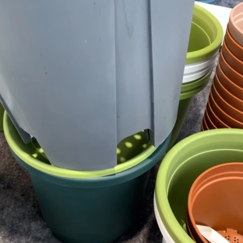 红陶5个蓝莓花盆瑕疵无托