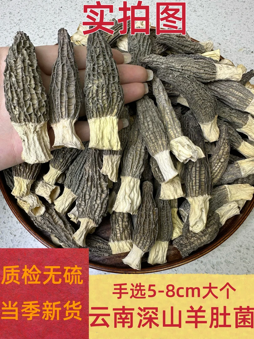 头茬羊肚菌(5-8cm)专用于炖汤深山天然生长厚肉干货营养丰富