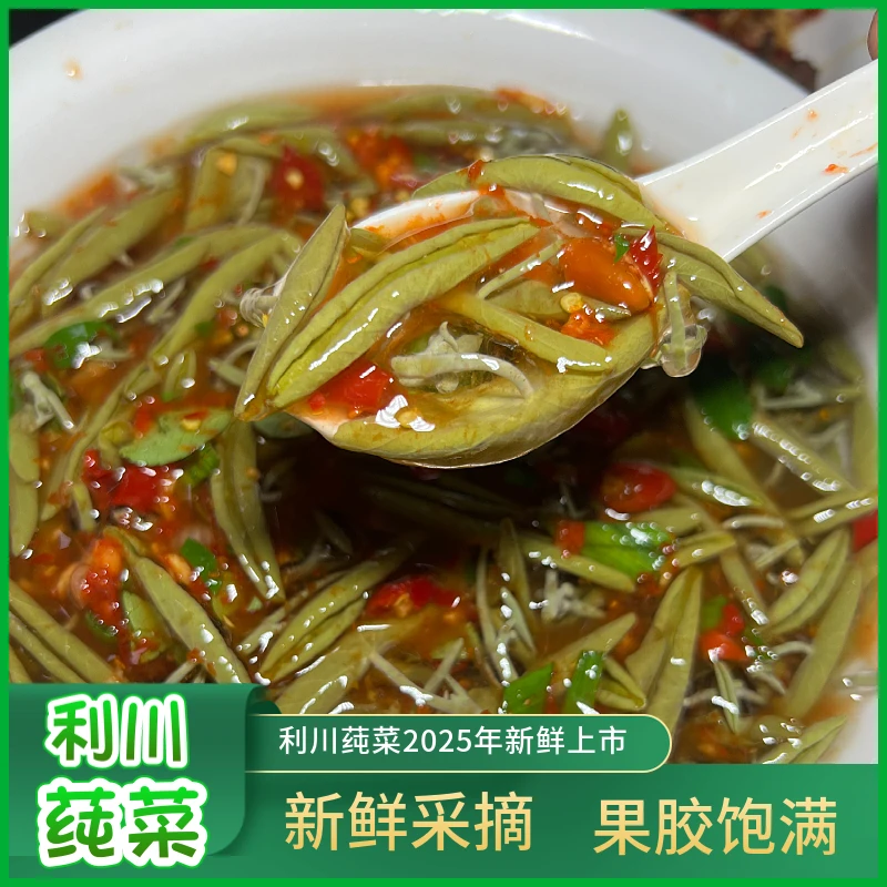 恩施特产利川莼菜2025年新鲜马蹄莲佛宝山新鲜莼菜瓶装1斤可包邮