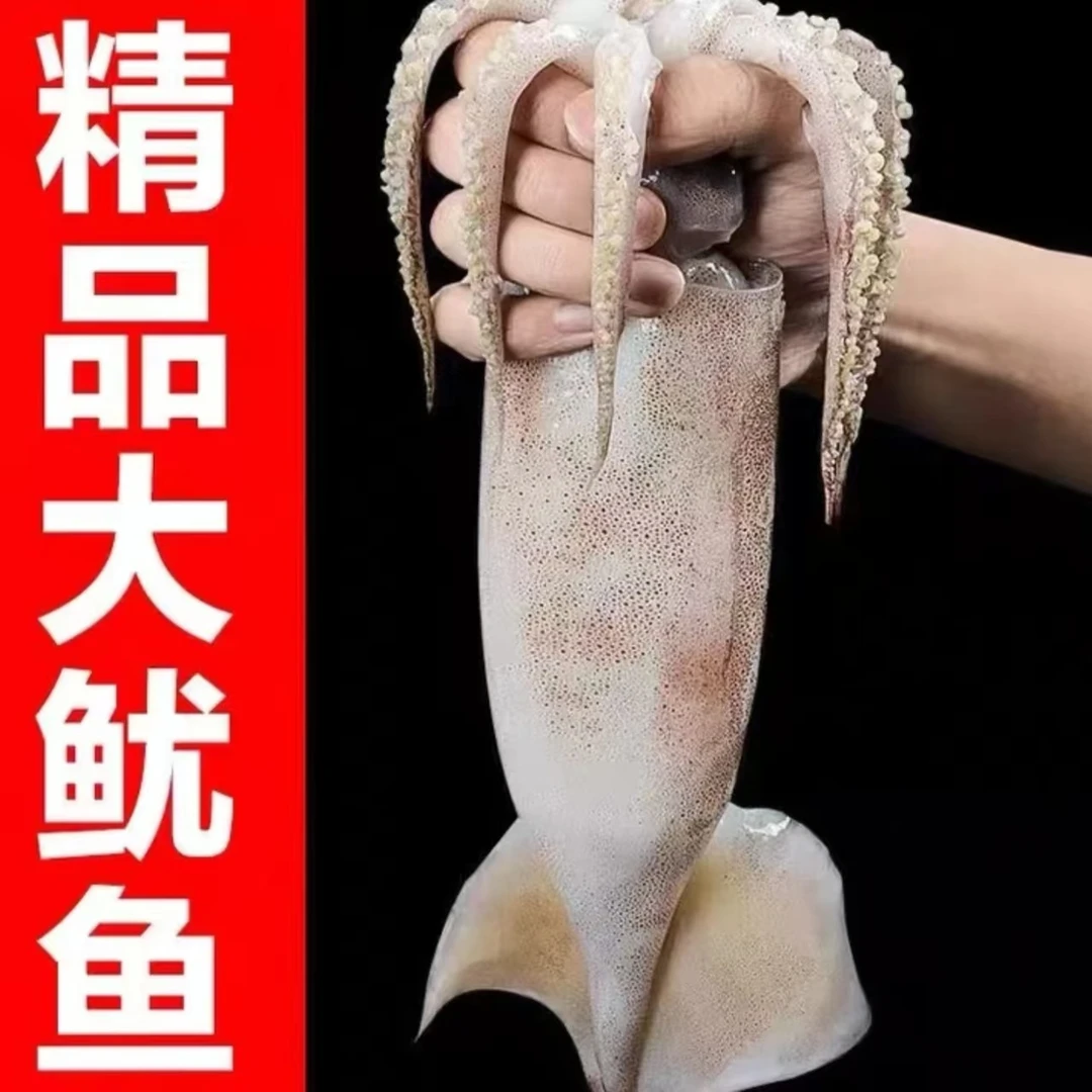深海捕捞大鱿鱼新鲜原浆鱿鱼冷冻鱿鱼 5斤装(5斤3条左右)