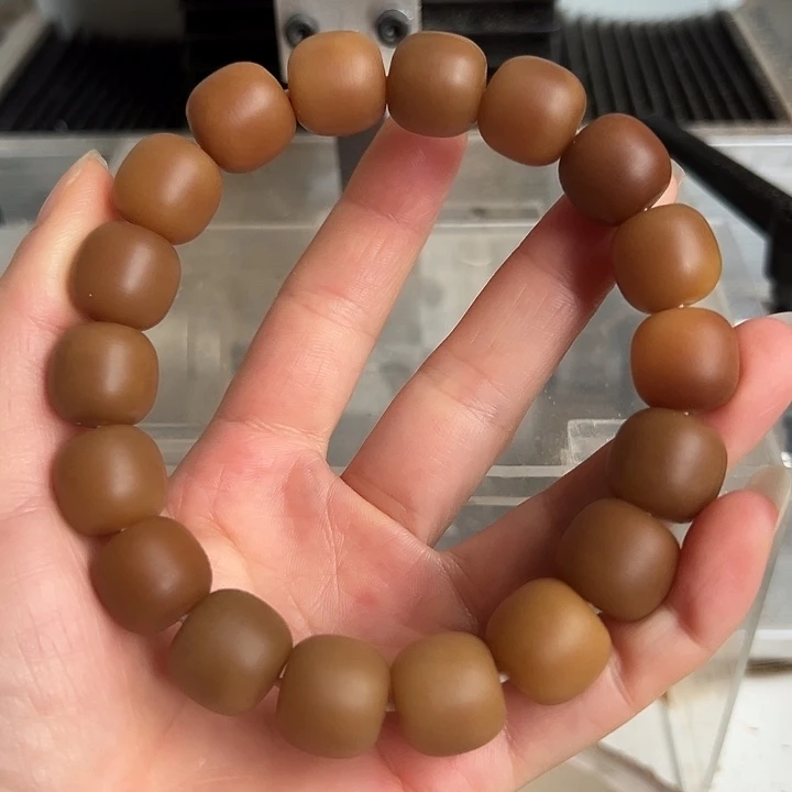 手串菩提根/象牙果