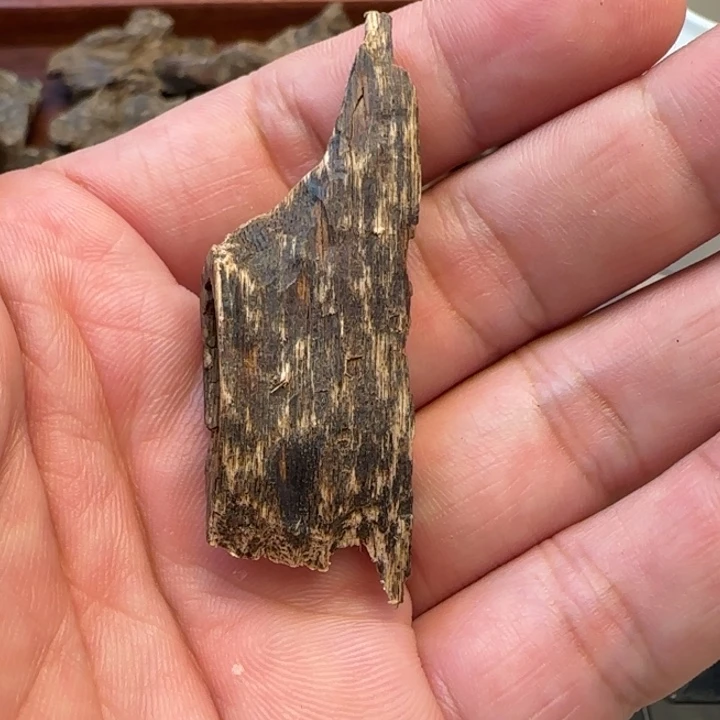 摆件沉香海南沉水虫漏1.9克