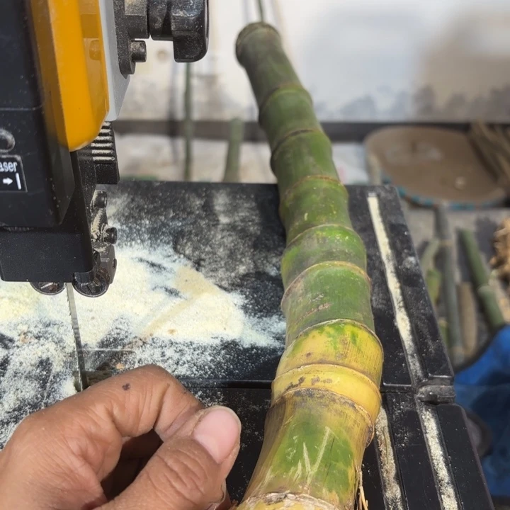 竹木**爷实心竹竹竹竹竹竹竹竹竹竹