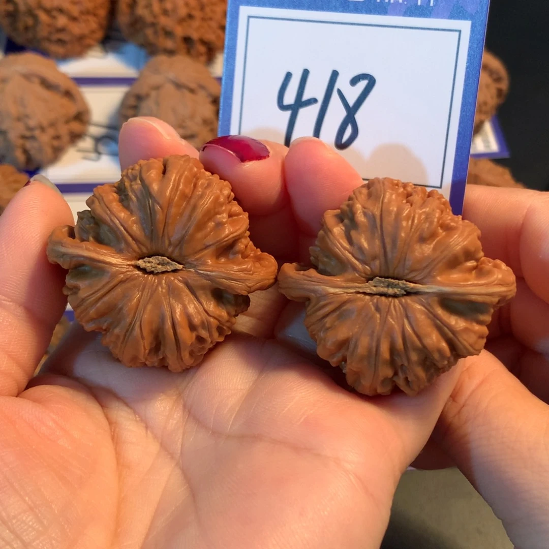 文玩核桃把件418白狮子4.1