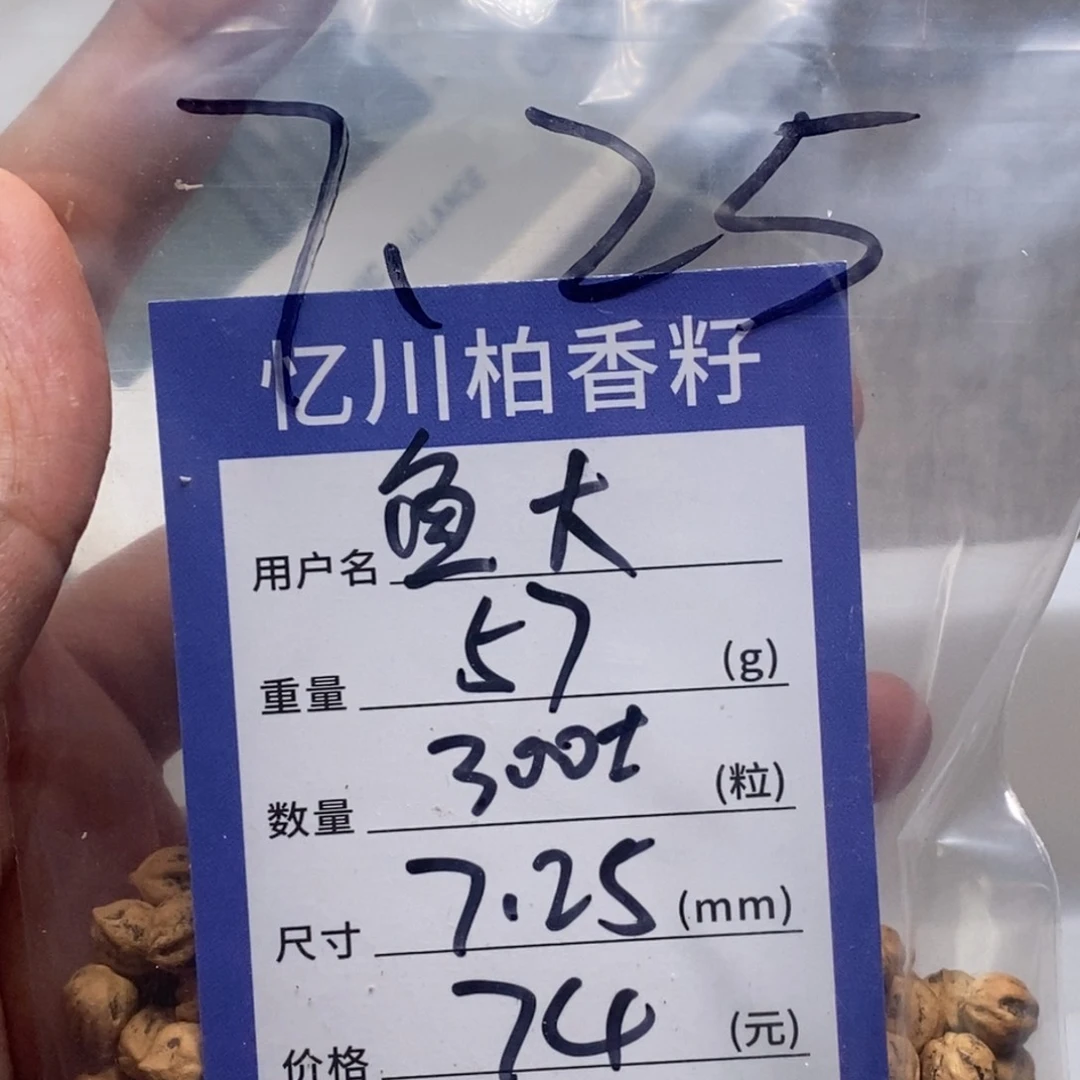 柏香籽/百香籽吊坠鱼*