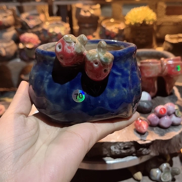 红陶好的你可以选择