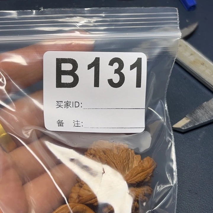 哈哈哈哈我的小可爱