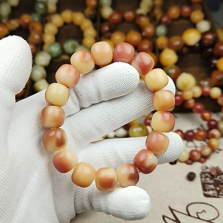 菩提根/象牙果手串B16