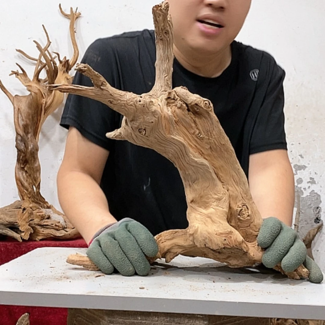 【闪购商品】柏木收***_我们都是好孩子