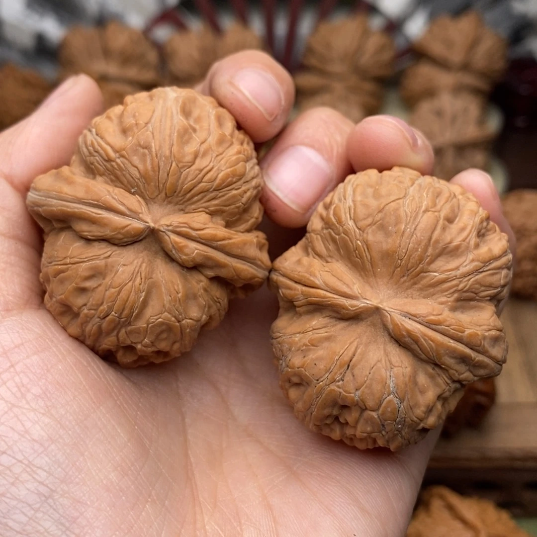 文玩核桃把件504号44全品元宝