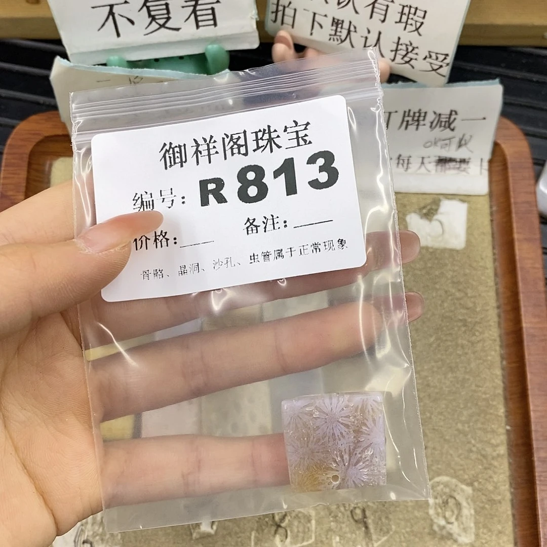 硅化珊瑚（珊瑚玉）未镶嵌颈饰焯*