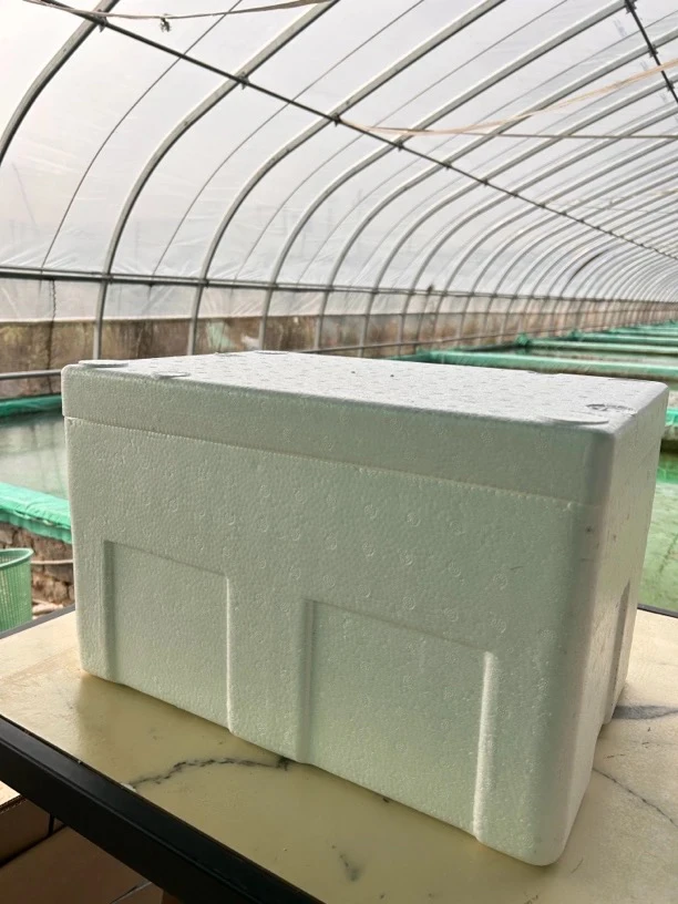 观赏鱼顺丰快递邮费