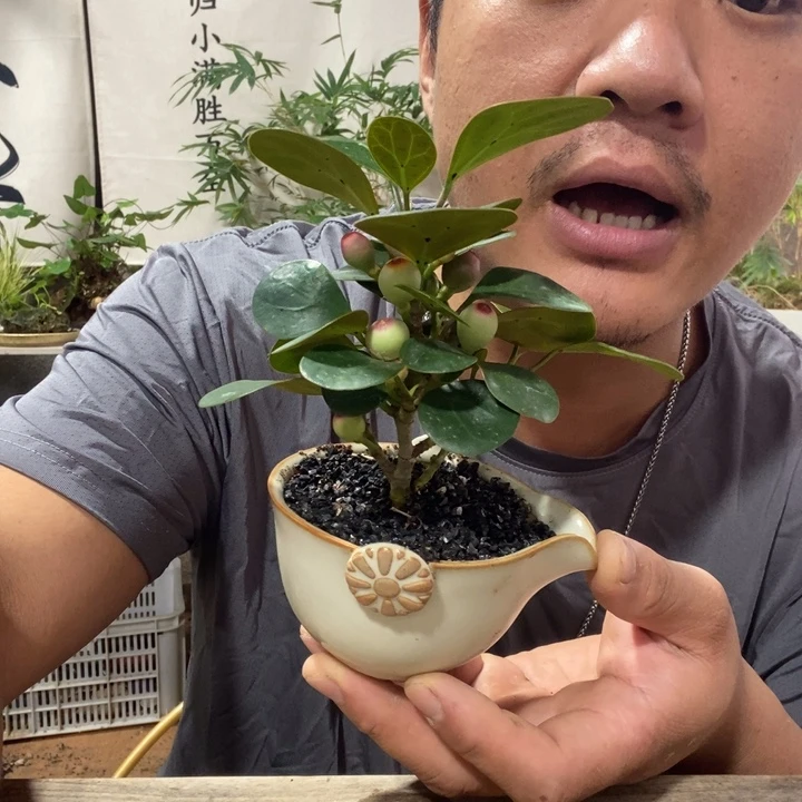 木***年无花朵退款拉黑拉黑89