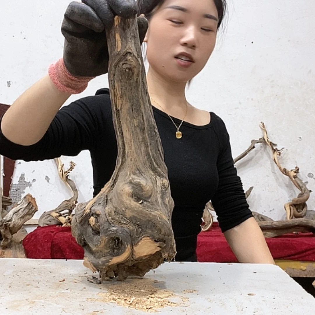 【闪购商品】柏木张**雕我们都是好孩子