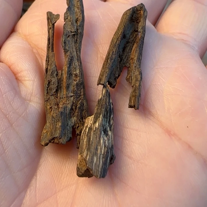 沉香摆件海南沉水老树心1.28克