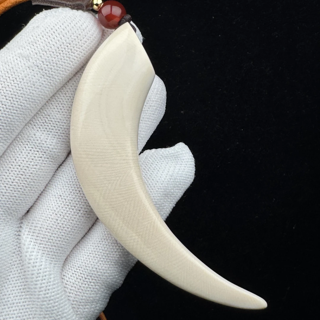 B1912 天然猛犸牙牙尖84.9mm 支持鉴定 假一罚四