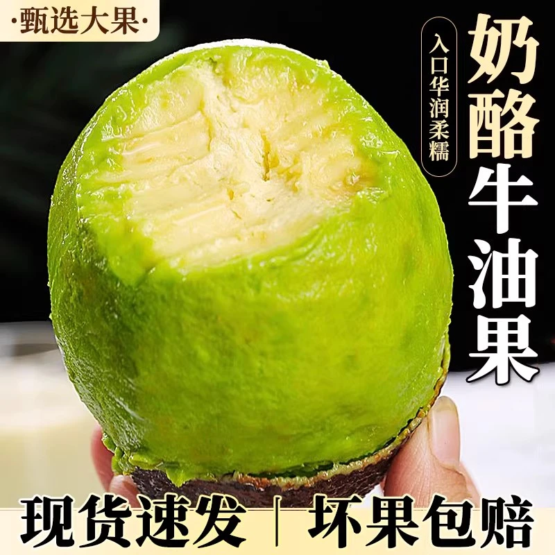 奶酪牛油果新鲜水果应当季宝宝辅食熟透即食鳄梨孕妇牛油果包邮