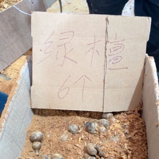非洲紫檀（红花梨）