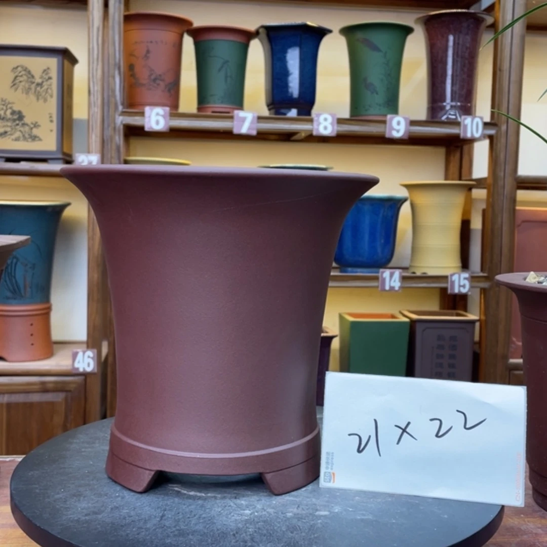 【闪购商品】紫砂花盆兰花455662522588555588