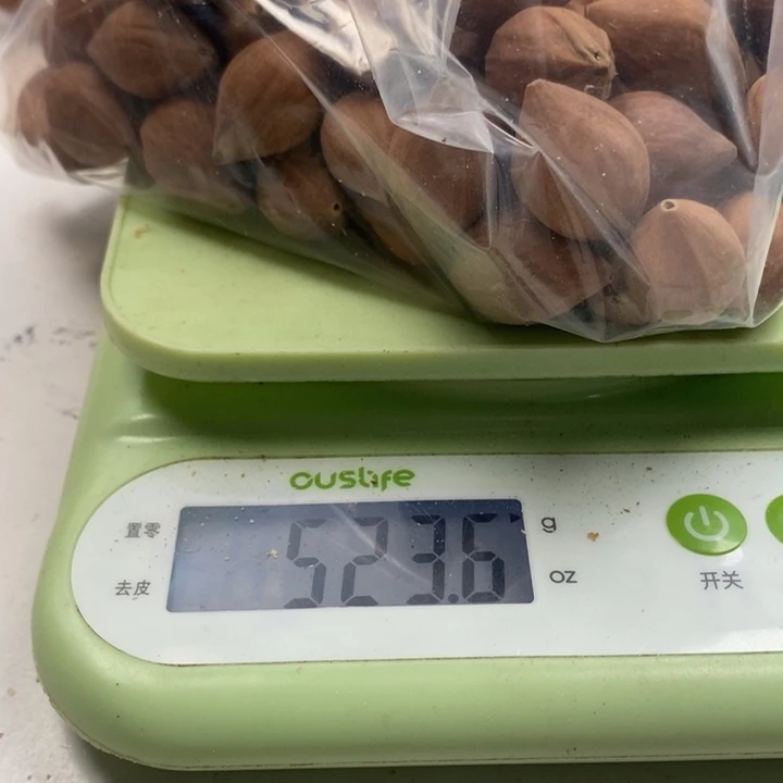 小***芽橄榄核手串/手链橄榄核雕