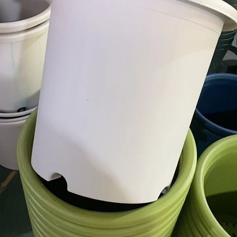 树脂微瑕8号3个无托灰白