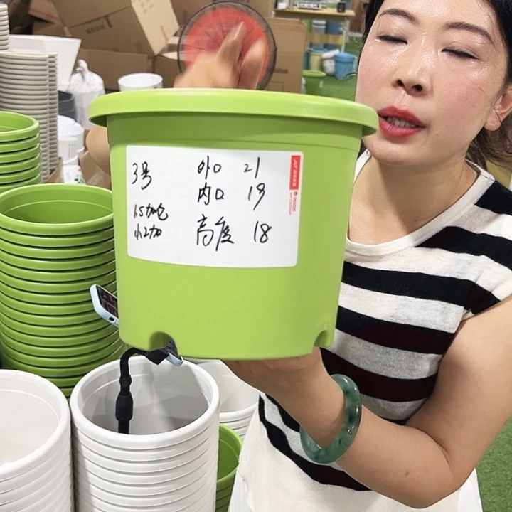 特价3号四季口21高18白色10只无托