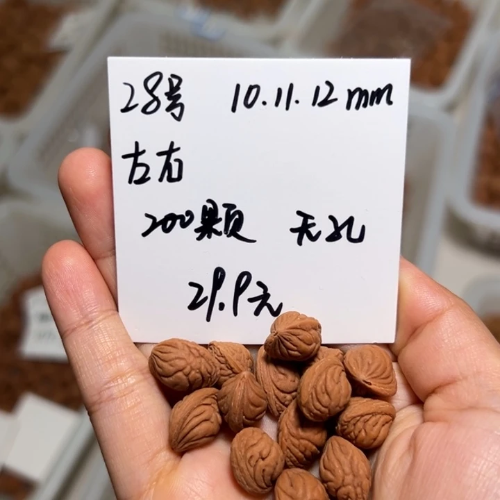 木质类雕刻料肚卡10-11-12 200颗