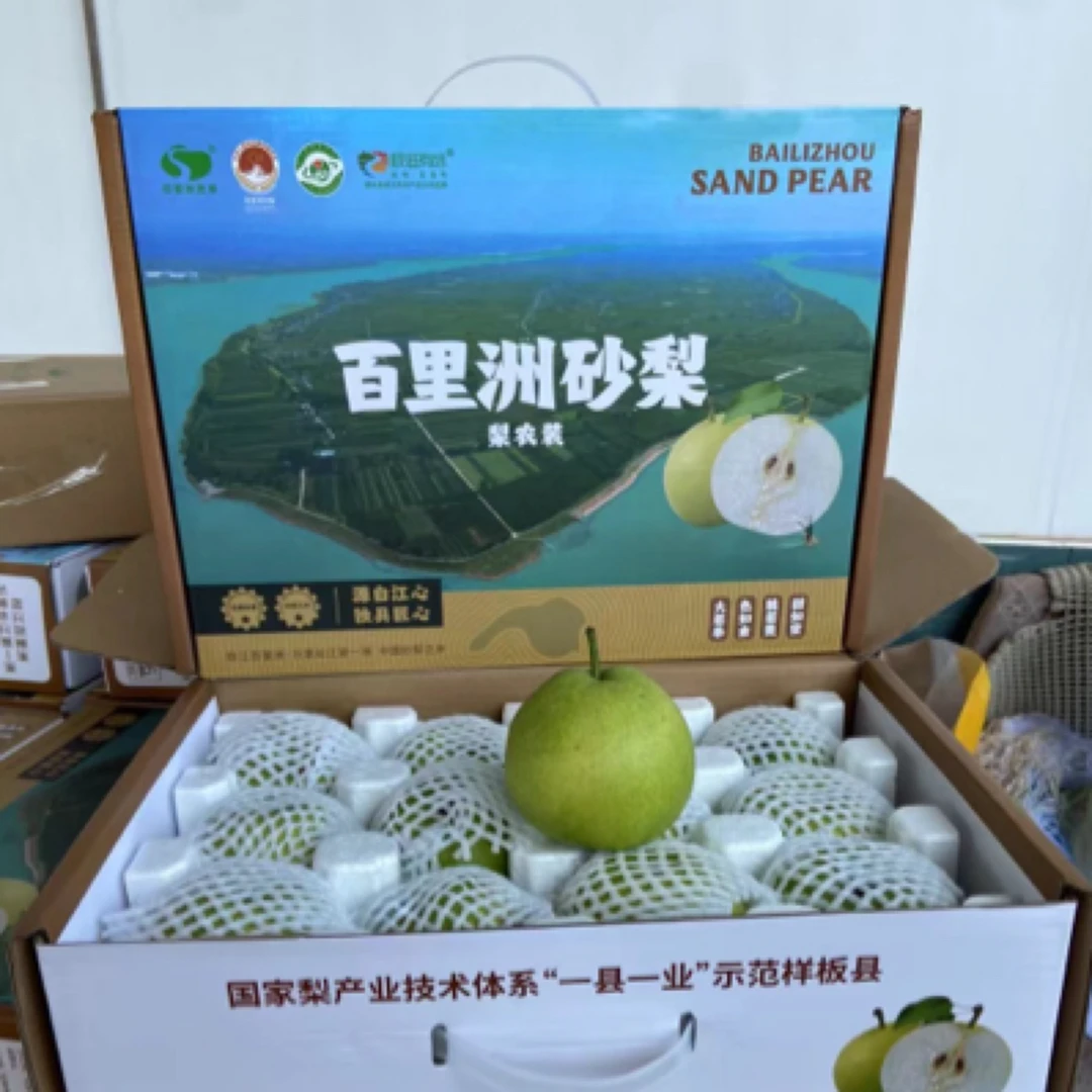 【礼盒包装】正宗百里洲沙梨现摘翠冠梨脆嫩无渣多汁鲜甜爽口