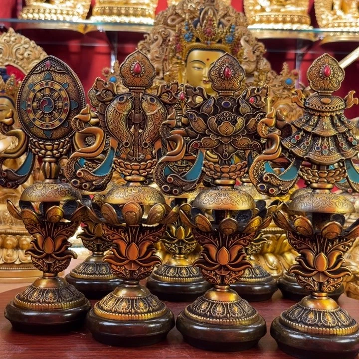 铜毛*11111师兄1111