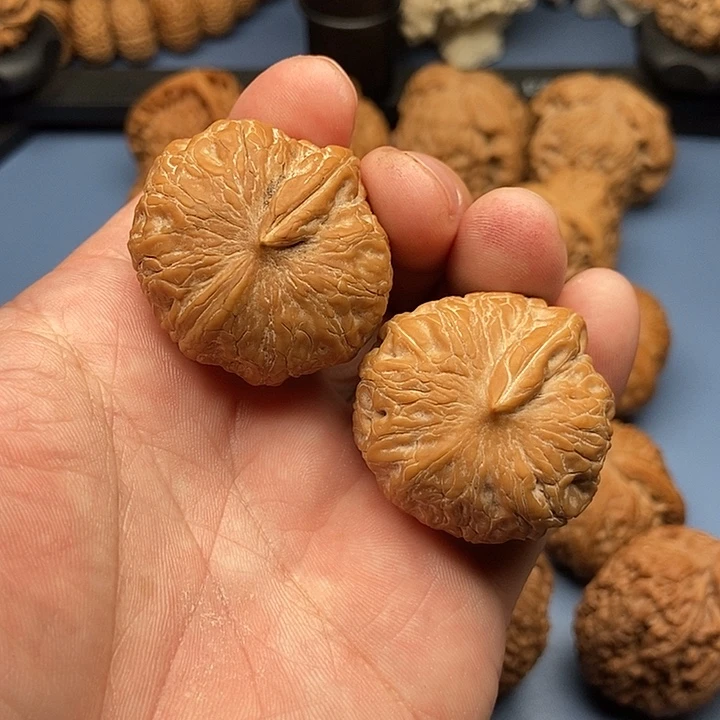 文玩核桃把件✧****?元宝