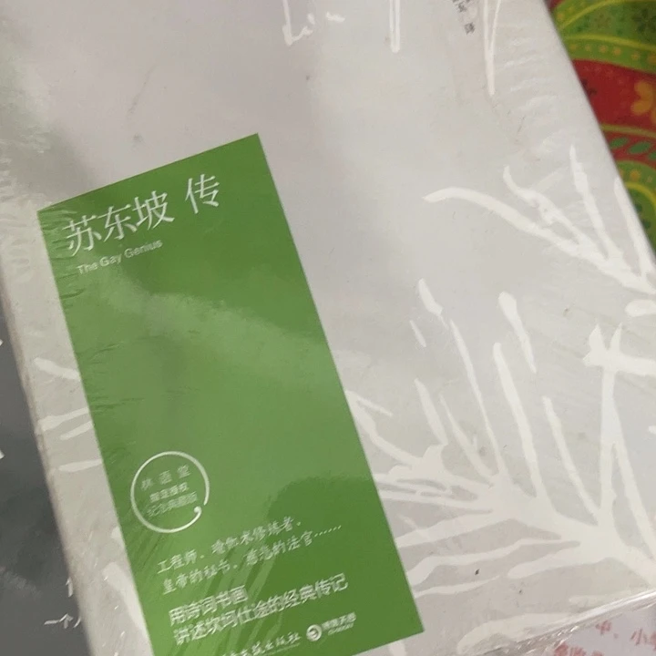 苏东坡转九米一个