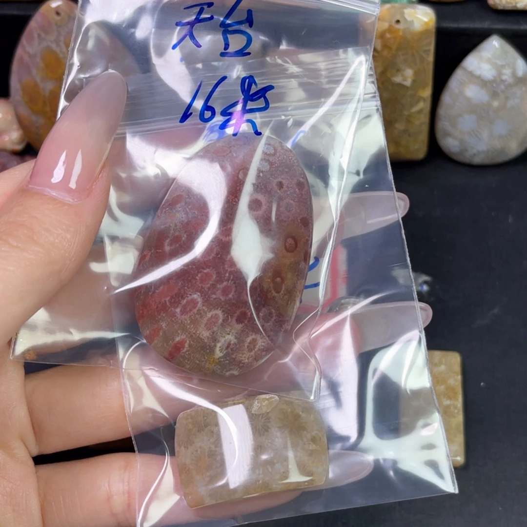 硅化珊瑚（珊瑚玉）吊坠未镶嵌