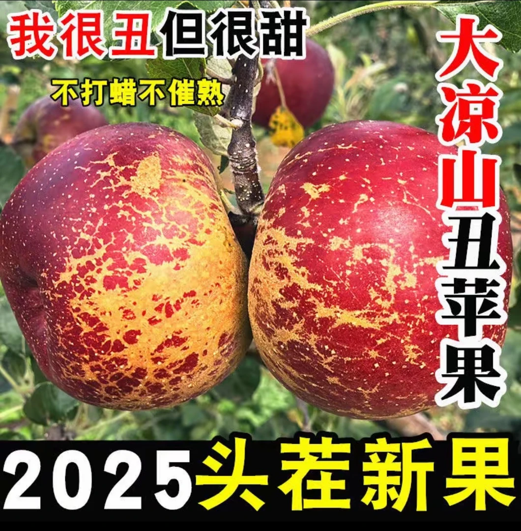 正宗大凉山丑苹果脆甜多汁香甜可口好吃不贵