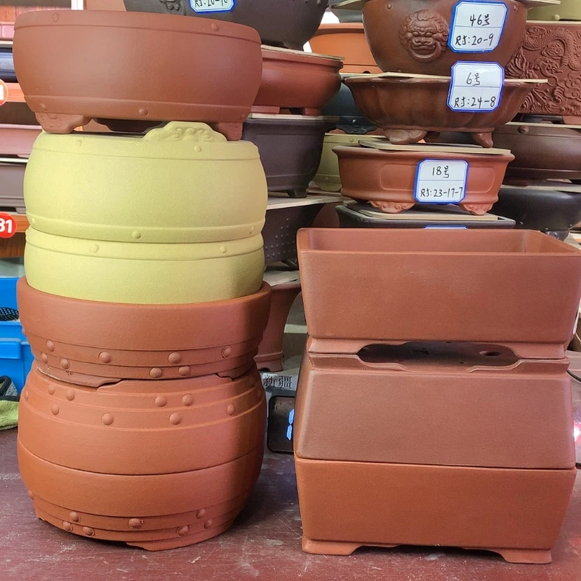 【闪购商品】紫砂君***艺