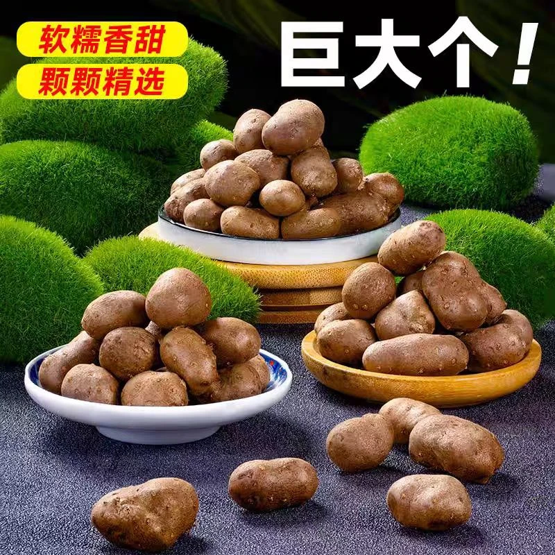 营养豆王 5斤裝 爆款 店长推荐