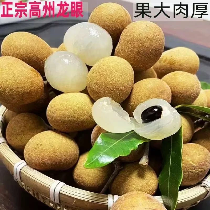 【顺丰】广东特产石硖龙眼爆甜多汁岭南佳果龙眼肉脆树熟5斤带箱