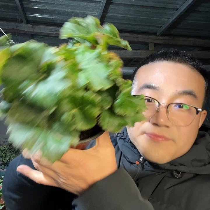 王***馆完全开放处理小风暴