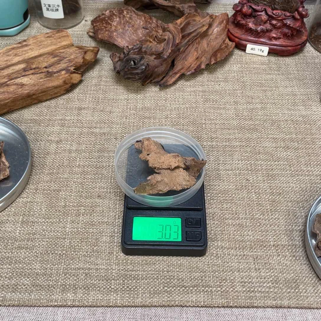 木海南鸡母虫漏沉香