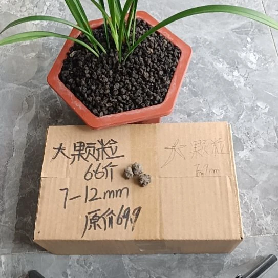 失***偶兰菌黑山土大颗粒6.6斤